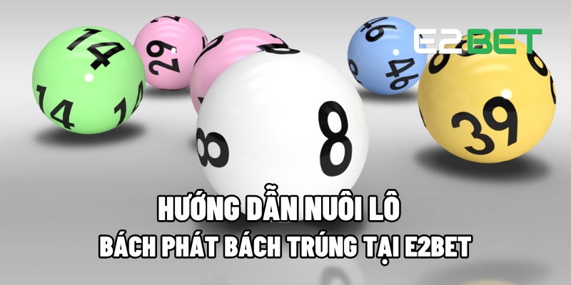 Nuôi Lô Bách Phát Bách Trúng Tại E2BET: Cách Chơi Hiệu Quả Cho Người Mới 7 nuoi lo 1